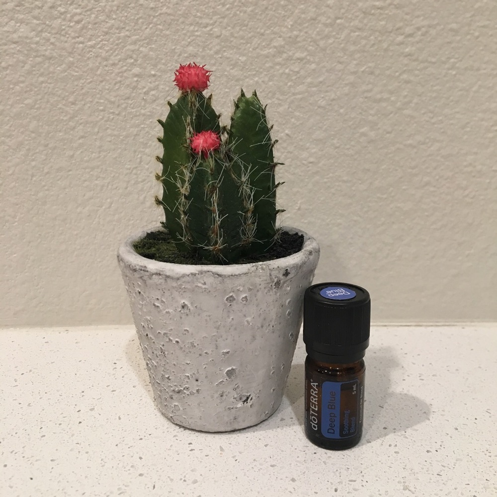 dōTERRA Deep Blue Essential Oil Blend 5mL